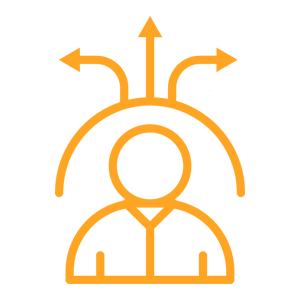 Launch & Optimize